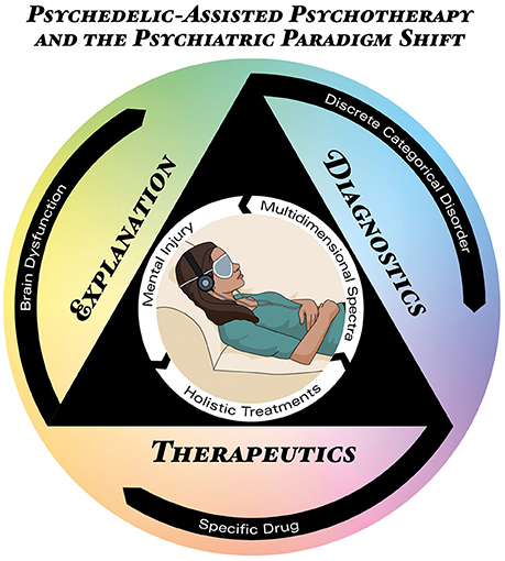 Psychedelic_Assisted-Psychotherapy_A-Paradigm-Shift-in-Psychiatric-Research