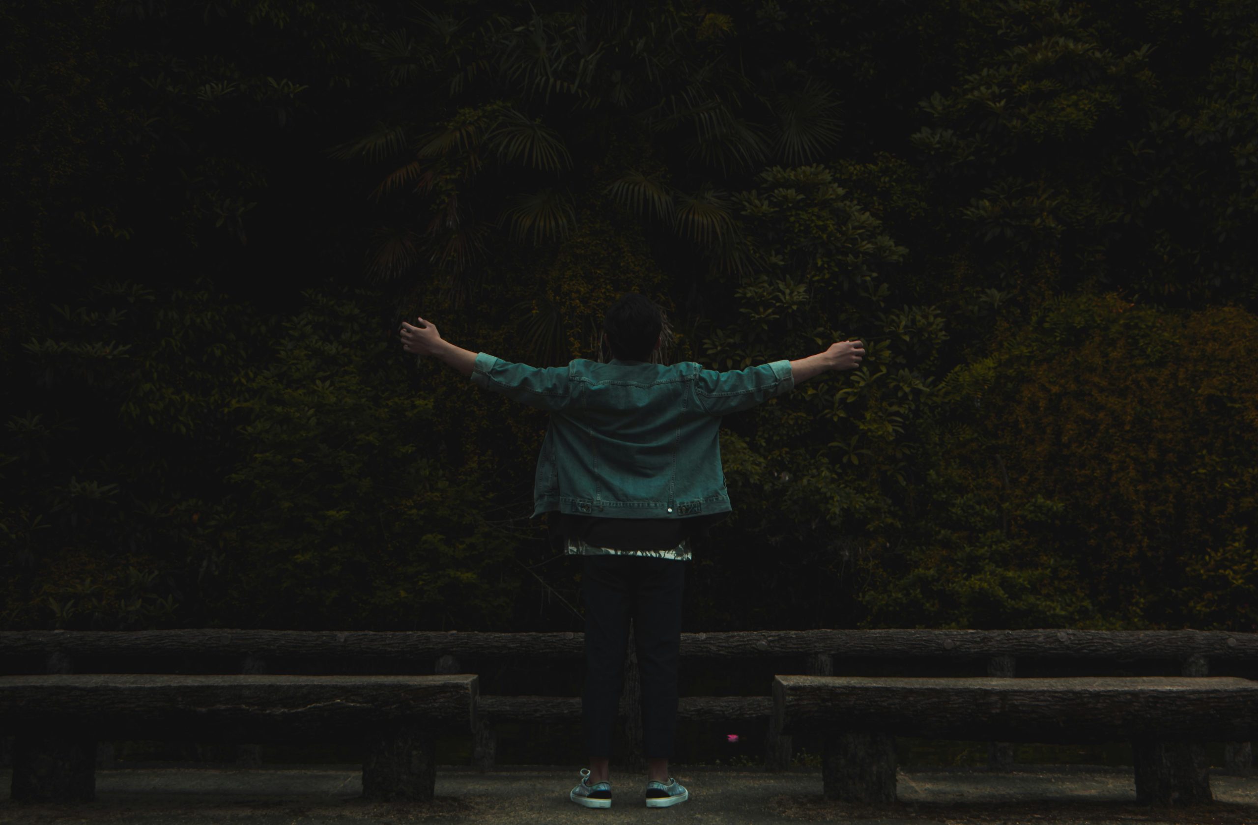 Back view of a man spreading arms in a serene park in Himeji, Japan, surrounded by lush greenery.